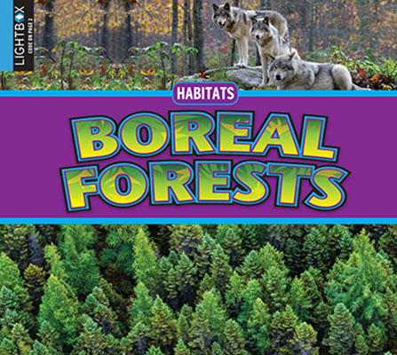 Boreal Forest